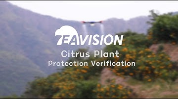 EAVISION Agriculture Drone Citrus Tree Plant Protection Verification