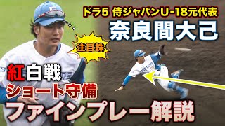 新庄監督も絶賛！ドラ5・ショート奈良間大己のスーパープレーを解説＜2/5ファイターズ春季キャンプ2023＞