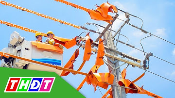 Đảm bảo cấp điện dịp Lễ Quốc khánh 2/9 | THDT