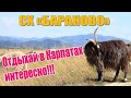 СЫРОВАРНЯ «БАРАНОВО» (cheese and dairy products «Baranovo». Zakarpattya Region of Ukraine) (2)