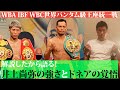解説させてもらったから語る!井上尚弥VSノニト・ドネア