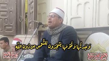 قصة الهدهد مع سيدنا سليمان عليه السلام بصوت الشيخ محمد رزق @قراننت-تلاواتمختارة