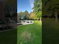 Day 34 #golfchallenge #challengegolf #golfshorts #golfswing #sportchallenge #golf #golfathome