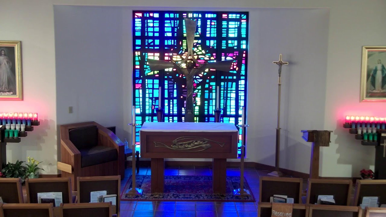 Daily Mass January 29, 2026