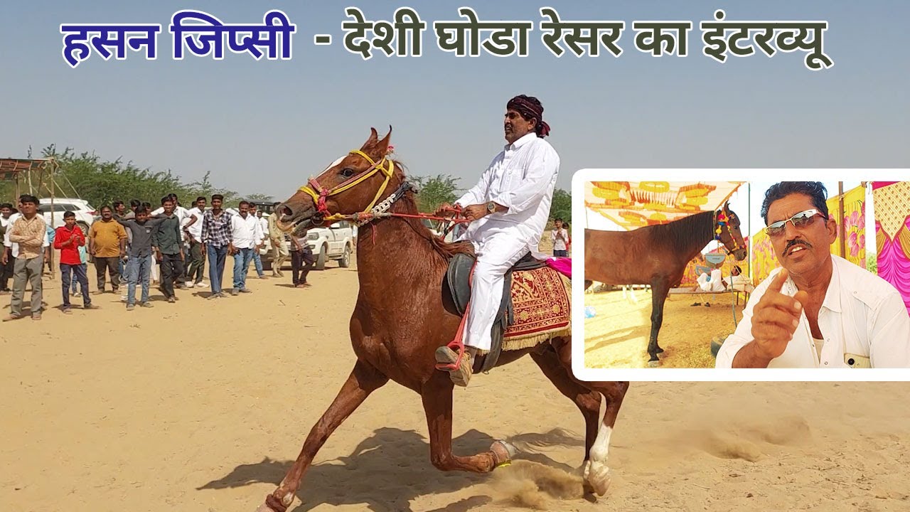 हसन जिप्सी -- सिन्धी घोडा रेसर का इंटरव्यू- Horse Race Video