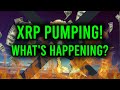 MUST WATCH FOR XRP HOLDERS: WHY IS XRP PUMPING NOW? IS WSB PUMPING XRP? & WHERE TO BUY XRP TOMORROW!