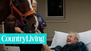 This Patient Has A Visit From a Special Friend | Country Living