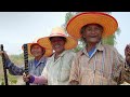 UN MENSAJE DE ESPERANZA Y COMPROMISO CAMPESINO PARA COLOMBIA EN EL CIERRE DEL AÑO