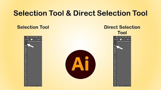 How to use the Selection tools and Direct Selection tools Adobe Illustrator Training -Class 01...
