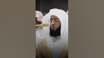 سورة الفيل .. الشيخ بدر بن محمد التركي