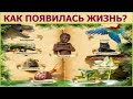 Как появилась жизнь?