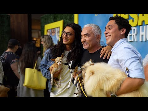 Video: Long Dog Dog Trainer Première Nuwe Show