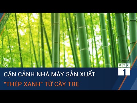 Video: Các Ngành Công Nghiệp Xây Dựng Nhà Và Không Khí