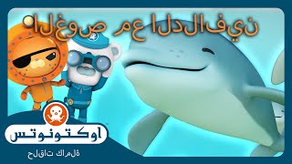 أوكتونوتس | 🌊 الغوص مع الدلافين! 🐬 | حلقات مجمعة