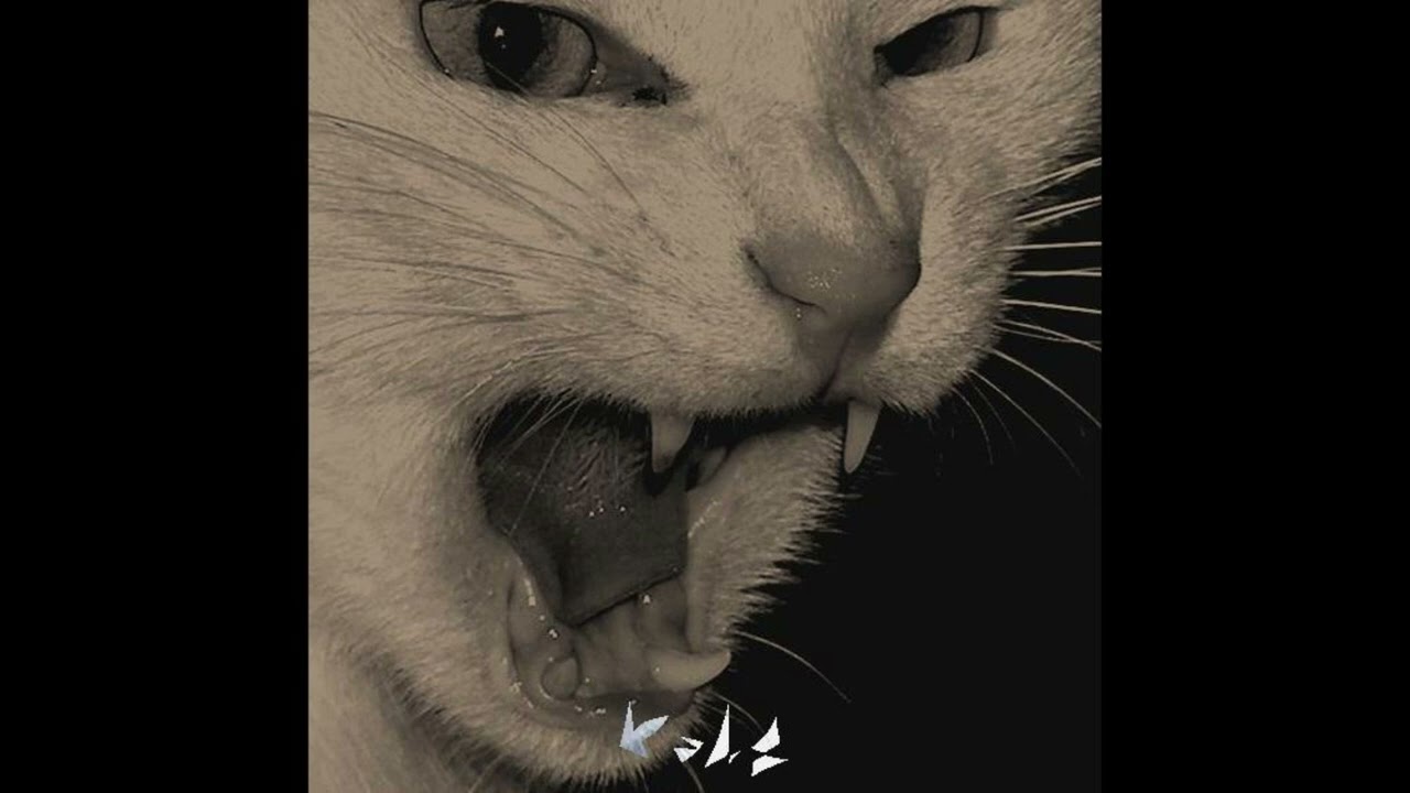 [FREE] Lil Uzi Vert Type beat | "G7oss"