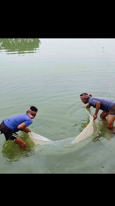 Download lagu how to checking fish spawn in pond #fishfarming #shortsfeed