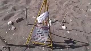 День путешествий!Бизнес в интернете с Еленой Уручьёвой ВАТСАП 89039487326 День путешествий!Бизнес в интернете с Еленой Уручьёвой ВАТСАП 89039487326