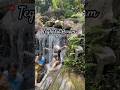 Travel Explore Waterfall Shorts Youtube