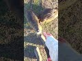 kindness #nutria #tkindness #wildlife