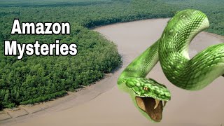 Untold Amazon River Mysteries And Facts