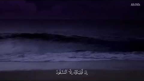 وَمَا كَانَ اللَّهُ لِيُعَذِّبَهُمْ وَأَنْتَ فِيهِمْ - القارئ أحمد خضر 🌿💚