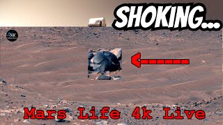 NASA Mars Rover Perseverance Sent Shocking 360° Footage of Mars Life! Curiosity' Rover Mars in 4K