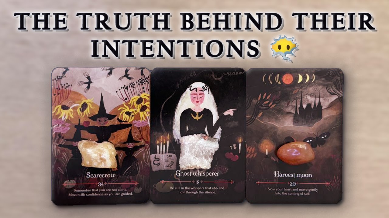 What They REALLY Want From You |  Their True Hidden Intentions | ✨ Pick A Card 💭 Love Reading