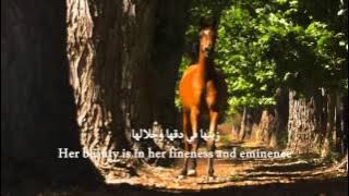 Daughters of the wind [English subtitles] - Mishary Al-Afasy (Halal Nasheed. No Music)