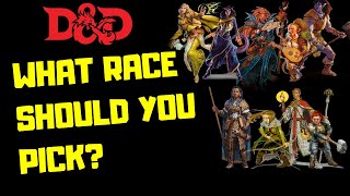 D&D What Race Should You Pick? | Dungeons & Dragons 5e | Dungeon Class