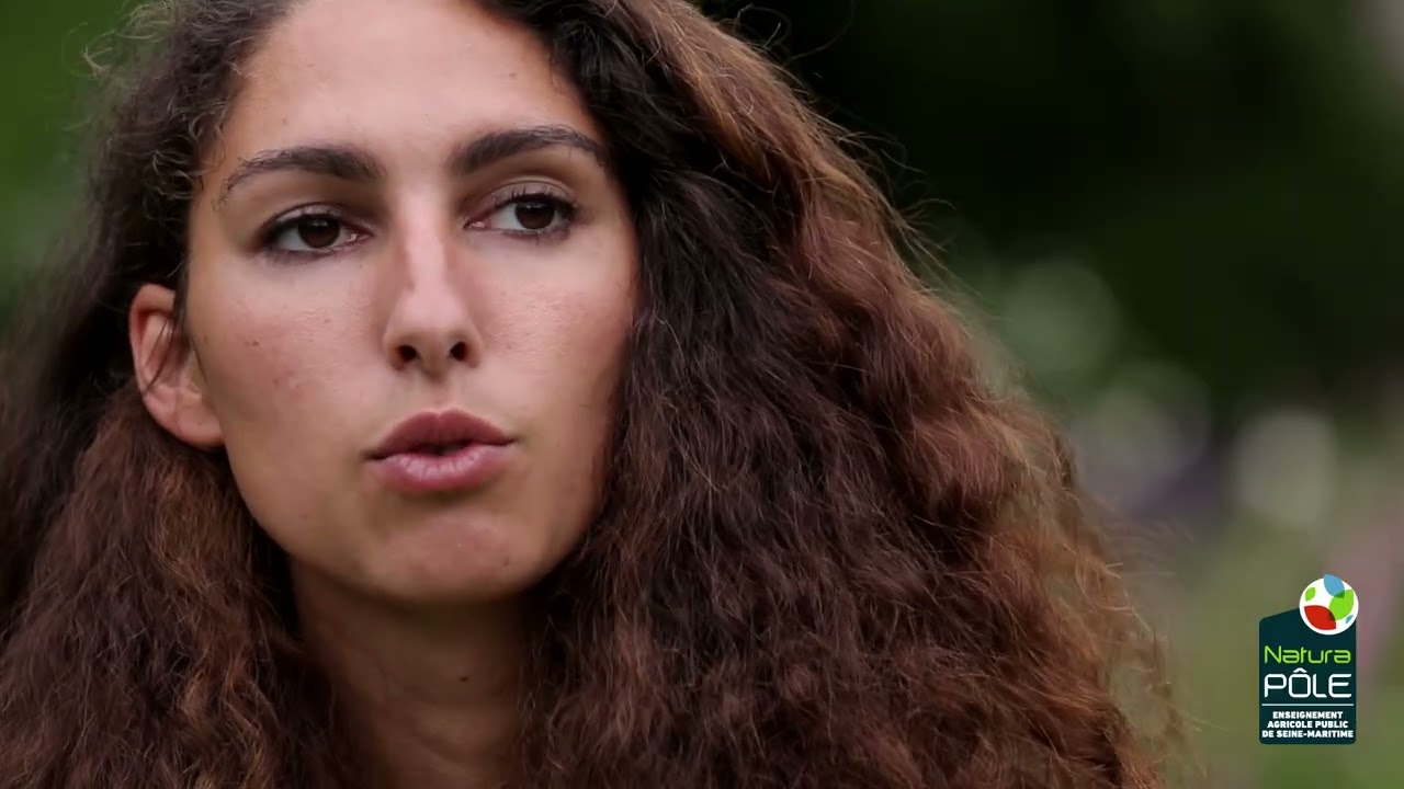 NaturaPole Amenagement paysagerV2