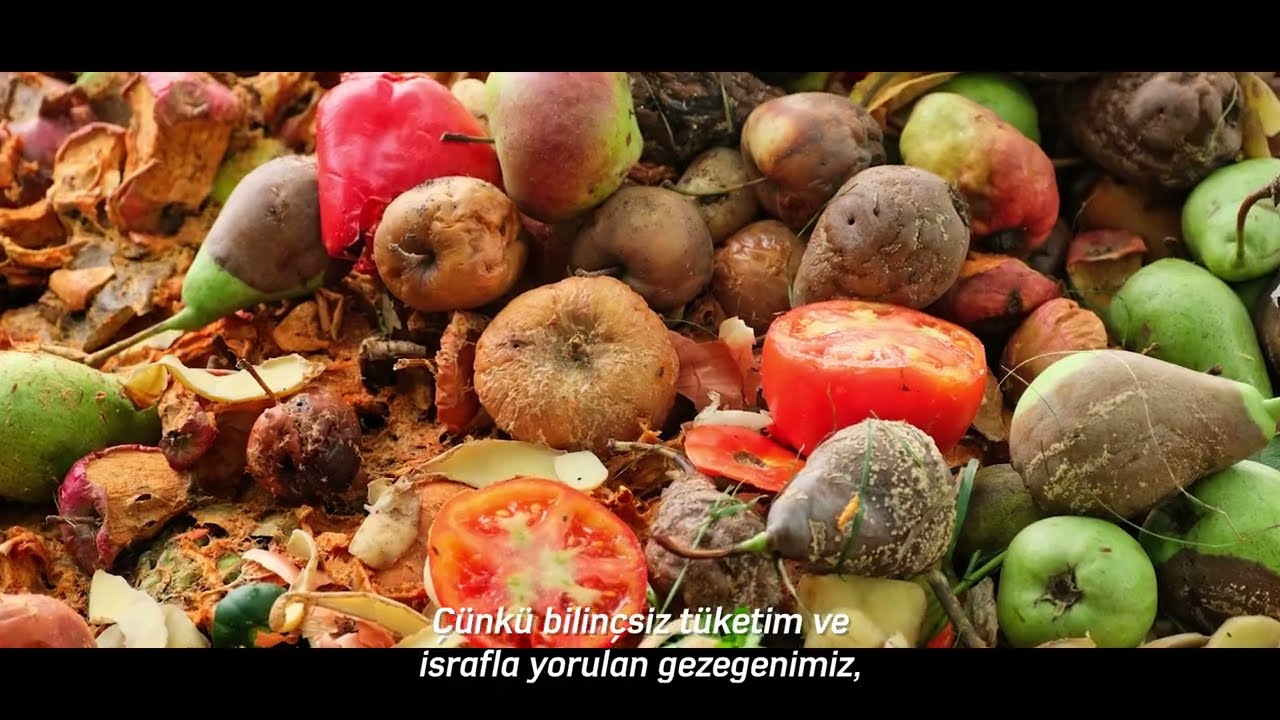 Promotional video