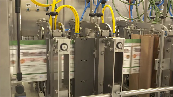 SN FBM300 Horizontal FFS Bagger