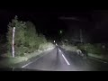 Un orso scappa e poi si scaglia contro un'auto in Giappone