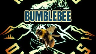 Fly Tying: Bumblebee