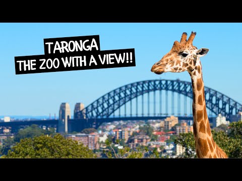 Vídeo: Pasar La Noche En El Zoológico Taronga De Sydney En Un Eco-pod