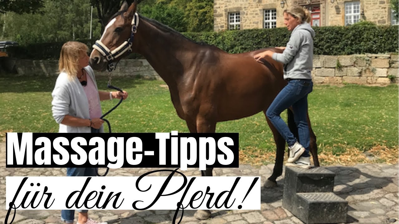 Massage-Tipps für dein Pferd 🐴💆🏼‍♀️ | Physiotherapeutin Josefa Sommer zeigt was jeder kann!