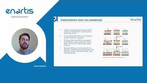 Part 2: Preventing Stuck Fermentations with Nutriferm No Stop