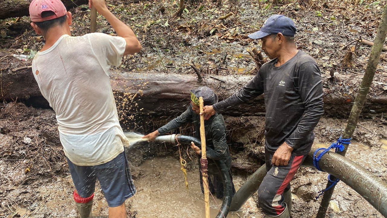 Guyana gold bush back dam