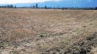 Homes for Sale - 1098 Fawn Ln Bonners Ferry ID 83805 - James Greenslitt Boundary County Bonners Ferry Real Estate Pace Kerby Co Inc