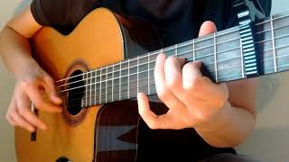 Big love (Fleetwood Mac - Lindsey Buckingham) Guitar Cover: Cordoba C7-CE Nylon String Resimi
