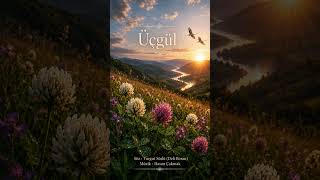 Üçgül - Turgut Süslü (Deli Boran)