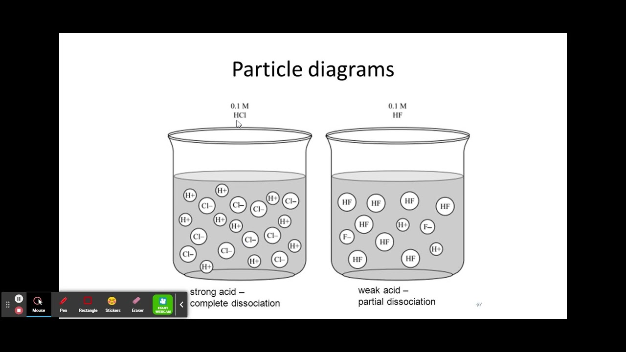 Strong Weak & Dilute Concentrated Acids Chemistry Y10 YouTube