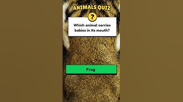 Engaging Animal Trivia Quiz Challenge
