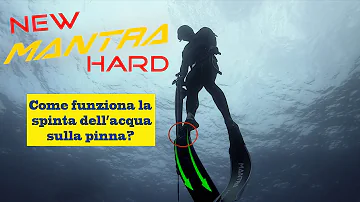 A cosa serve la pinna?
