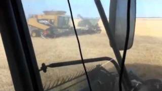 2011 Wheat harvest