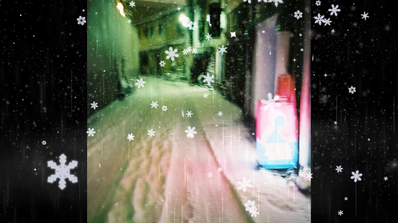 bsd.u - late night bumps