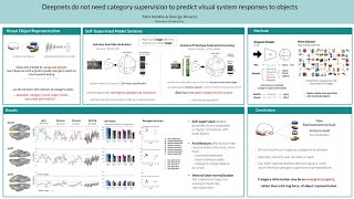 Deepnets do not need category supervision to predict visual system responses to objects