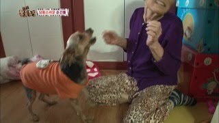 [TV 동물농장] 전국노래자랑에 맞춰 노래하는 개