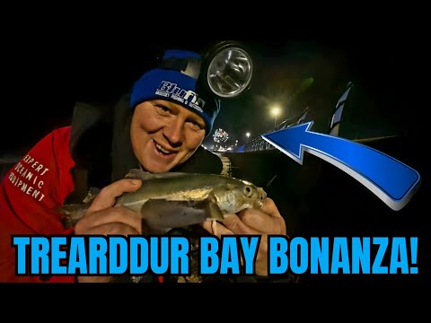 Unbelievable Night Fishing in Trearddur Bay – We Found a NEW Species! Sea fishing video