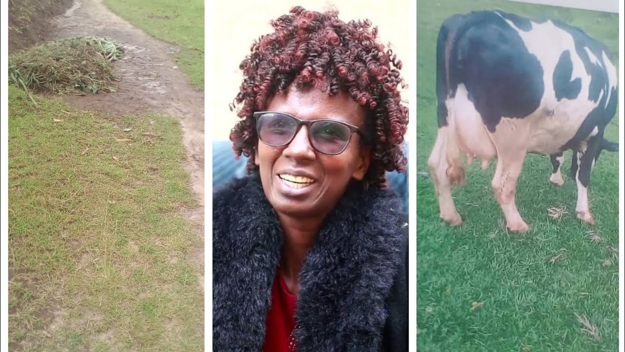 Muhanga:Abayobozi batabye inka zanjye mu muhanda ngo uko nzajya mpagera nicwe n'agahinda||Bernadette